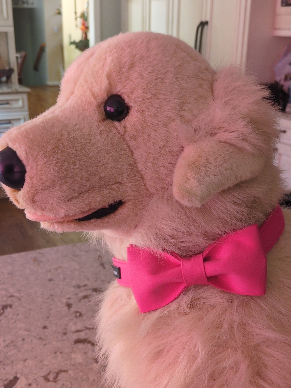 Hot Pink Bow Dog Collar Medium